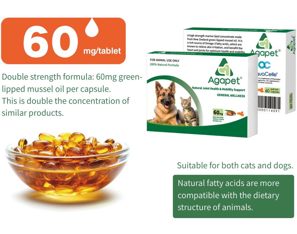 Agapet Green-lipped mussel oil product showcase image