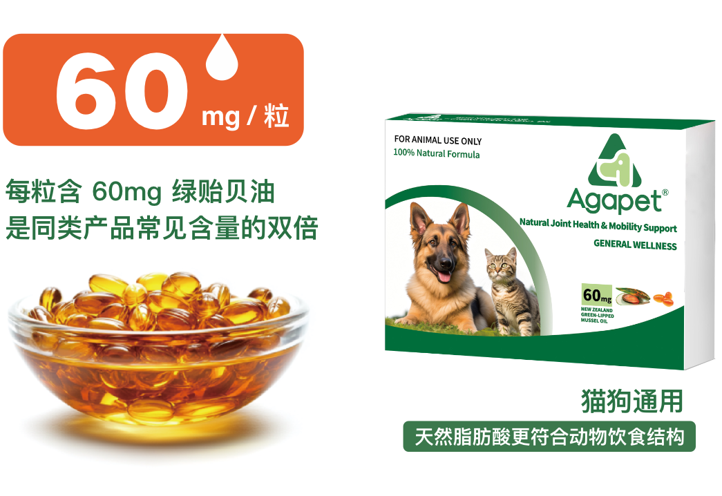 Agapet 绿唇贻贝油 产品展示图