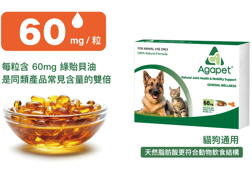 Agapet 綠唇貽貝油 產品展示圖